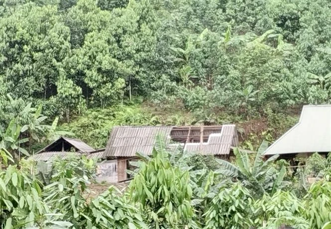 Yên Bái: Một người mất tích, nhiều nhà dân bị thiệt hại do dông lốc