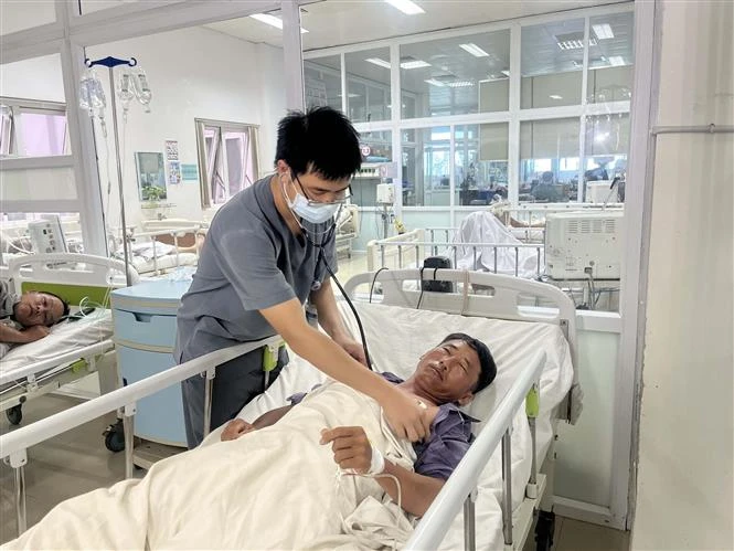 Đắk Lắk: Nhiều người ngộ độc sau khi ăn nấm mọc từ xác ấu trùng ve sầu