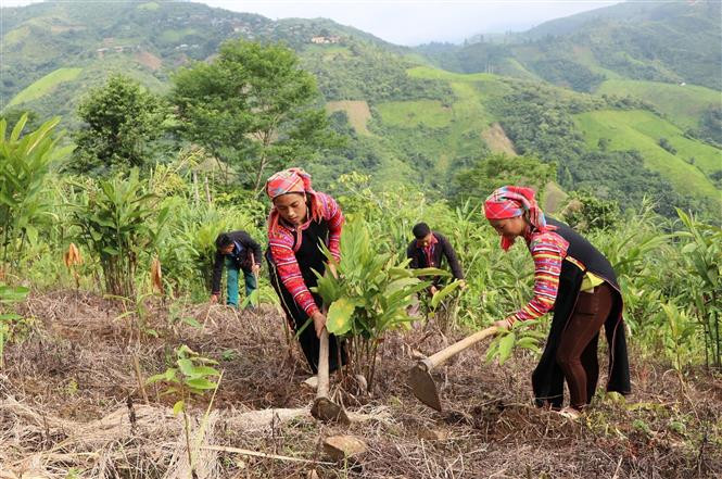 Đòn bẩy phát triển trung du, miền núi Bắc Bộ (Bài 3)