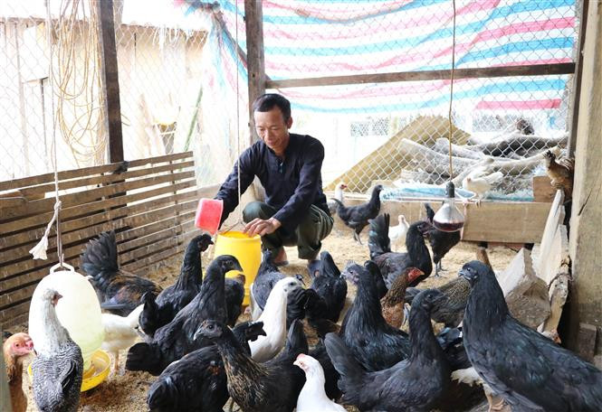 Đồng hành cùng nông dân làm giàu