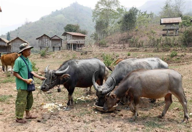 Khuyến khích nông dân đẩy mạnh ứng dụng khoa học vào sản xuất