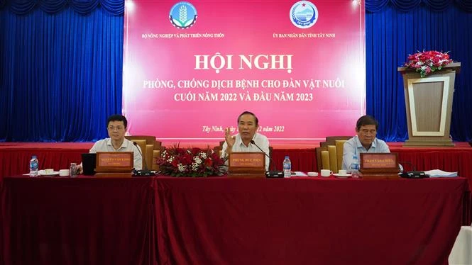 Xây dựng vùng chăn nuôi an toàn dịch bệnh hướng đến xuất khẩu
