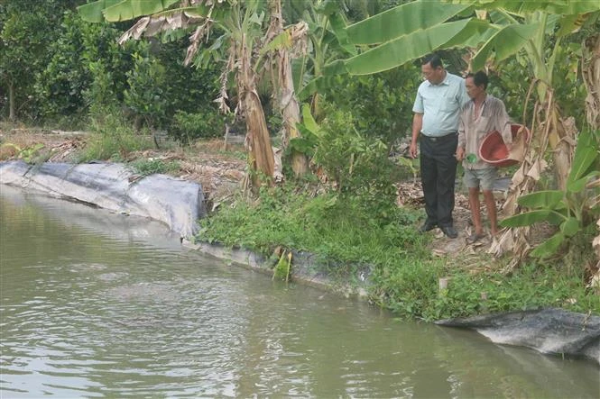 Ông Võ Văn Thiệp chuyển đổi sản xuất trên đất thuần nông, cho hiệu quả kinh tế cao
