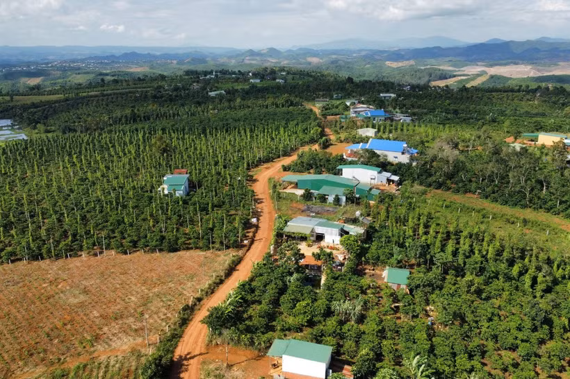 Để Đắk Glong thoát khỏi tình trạng huyện nghèo