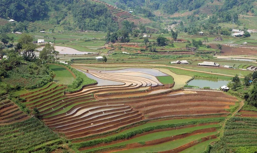 Mùa nước đổ trên những thửa ruộng bậc thang ở Lai Châu