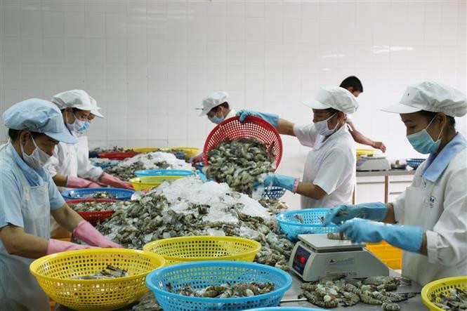 Một số chính sách mới của Chính phủ sẽ có hiệu lực trong tháng 2/2022