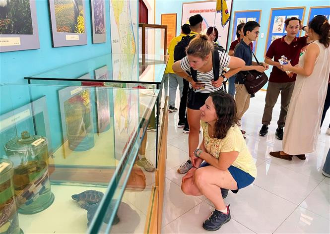 Độc đáo mô hình du lịch Free Walking Tour tại Cần Thơ