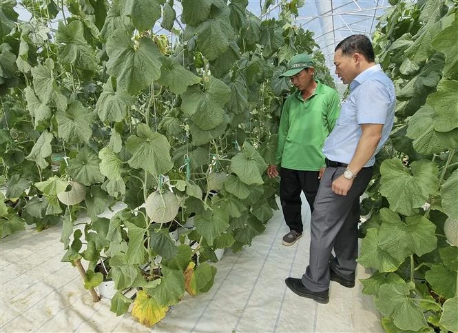 Lợi ích kép từ ứng dụng khoa học - công nghệ vào sản xuất