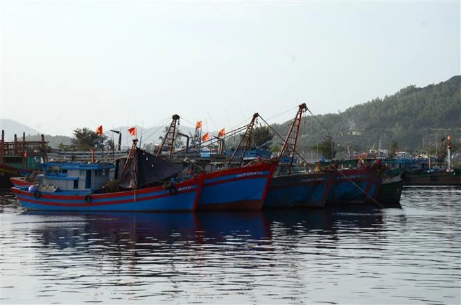 Vượt khó giá dầu tăng cao, nông dân vẫn vươn khơi bám biển