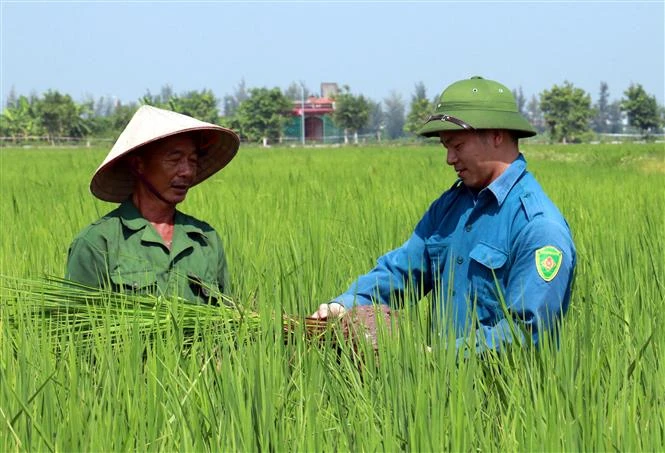 Những chính sách mới nổi bật có hiệu lực trong tháng 2/2023