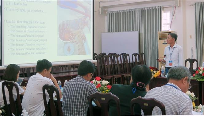 Phú Yên: Ứng dụng khoa học công nghệ trong phát triển sản phẩm tôm hùm