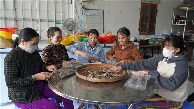 Cần nhiều cơ chế hỗ trợ hoạt động của hợp tác xã