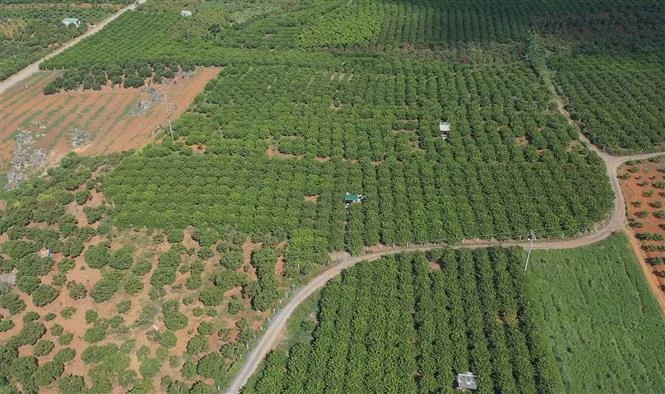 Phát triển kinh tế vùng Trung du và miền núi Bắc bộ: Chuyển đổi sản xuất theo hướng hữu cơ
