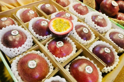 Gia Lai – Vùng đất vàng cho đầu tư nông nghiệp công nghệ cao