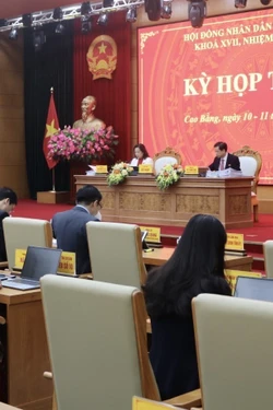 Cao Bằng yêu cầu chi tiết hóa thông báo xả lũ, đẩy mạnh trồng rừng đầu nguồn