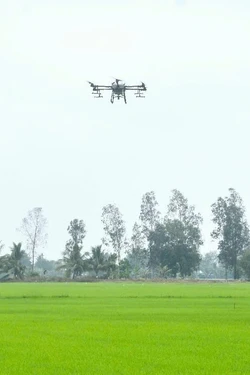 Hiệu quả tích cực từ chuyển đổi số trong hợp tác xã