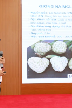 Phát triển vùng cây ăn quả đạt chuẩn, miền núi phía Bắc đón cơ hội xuất khẩu