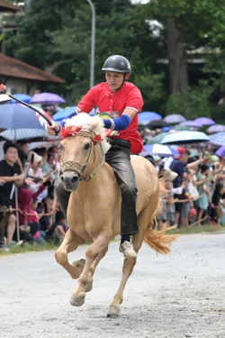 Ngựa thồ và câu chuyện giữ bản sắc văn hóa vùng cao