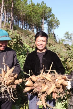 Đặt 'chuẩn cao' cho nông sản