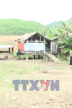 Đà Nẵng: Nông dân miền núi thoát nghèo nhờ mô hình trang trại