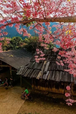 Nghệ An - điểm đến dịp Tết Dương lịch 2026