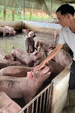 Dẫn dắt đồng bào dân tộc thiểu số cùng vượt khó làm giàu