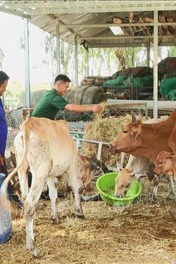 Đồng hành cùng người dân vùng biên phát triển kinh tế, gắn kết tình quân dân