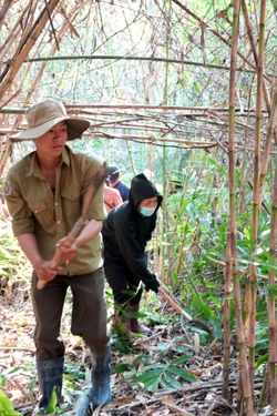 Cách giữ xanh rừng Sêrêpôk khi lực lượng mỏng