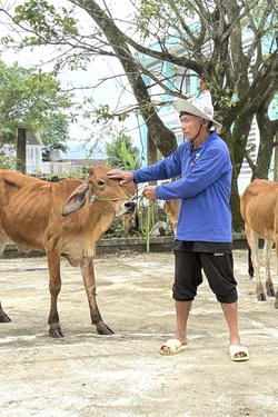 Đắk Lắk hỗ trợ người dân khôi phục sản xuất sau thiên tai