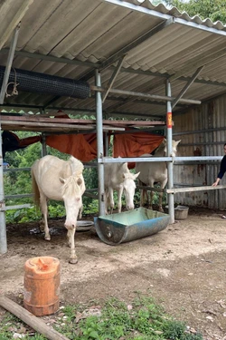 Việt Nam là điểm sáng về giảm nghèo