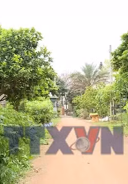 Đảm bảo cây giống, sẵn sàng cho trồng rừng năm 2026