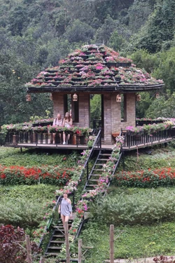 'Đảo hoa' khoe sắc giữa thiên nhiên di sản