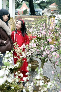 Quê hương cách mạng Tuyên Quang chào đón năm mới với nhiều ước vọng