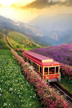 Sa Pa tăng tốc hút khách mùa du lịch lễ hội cuối năm