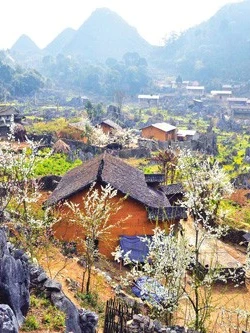 Cao nguyên đá Đồng Văn: Đòn bẩy phát triển kinh tế - xã hội bền vững nơi cực Bắc