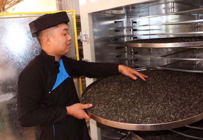 Sao chè thủ công, Bàn Văn Hiệu miệt mài tạo ra những sản phẩm chè Shan tuyết chất lượng.