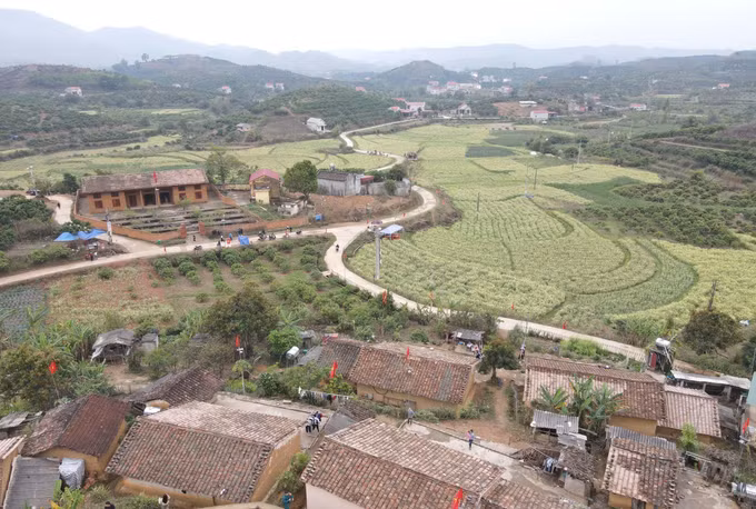 Thôn Bắc Hoa, xã Tân Sơn (Bắc Ninh).