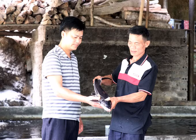 Ông Bàn Văn Đằng, người dân tộc Dao (xã Thanh Thủy, Tuyên Quang) giới thiệu với cán bộ xã về mô hình nuôi cá tầm của mình.