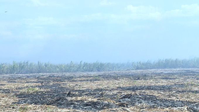 Hơn 160 ha mía bị cháy tại xã Pờ Tó, tỉnh Gia Lai.