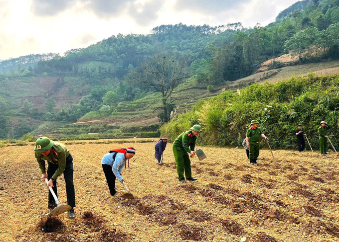 Cán bộ, chiến sĩ Công an xã Cán Tỷ cùng người dân làm đất, xuống giống khoai sọ cho vụ mới. Ảnh: TTXVN phát