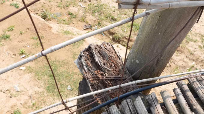 Cầu treo bắc qua sông Pô Kô bị hư hỏng nhiều vị trí, gây ảnh hưởng đến việc đi lại của người dân xã Đăk Pek.