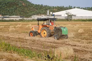 Lợi ích từ việc tận dụng rơm rạ sau thu hoạch