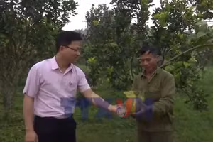 Vốn vay sản xuất giúp người dân vùng cao Thanh Hóa thoát nghèo