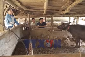 Khơi dòng vốn hỗ trợ đến tay nông dân