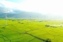 Trải nghiệm thiên nhiên trên "vùng đất của nắng và gió"