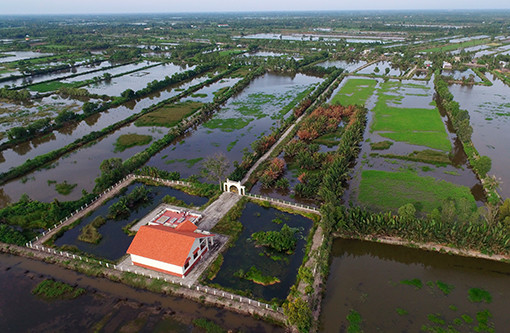 Dự án xây dựng Khu di tích lịch sử quốc gia Chủ Chọt ở ấp Chủ Chọt, xã Ninh Thạnh Lợi A (Hồng Dân, Bạc Liêu) đã hoàn thành các hạng mục nhà lưu niệm, nhà mồ, tường rào… dự kiến đưa vào sử dụng vào đầu xuân mới 2021, là niềm tự hào của người dân Bạc Liêu về truyền thống đoàn kết chống ngoại xâm của những người nông dân Kinh, Khmer, Hoa ở đồng Chó Ngáp với sự kiện nổi dậy chống ách thực dân chấn động Nam Kỳ và Đông Dương của nông dân Ninh Thạnh Lợi vào tháng 5/1927. Trong ảnh: Khu di tích Chủ Chọt nhìn từ trên cao, nằm giữa những cánh rừng dừa nước và vuông tôm, ruộng lúa đặc thù của đồng Chó Ngáp hôm nay. Xuân mới trên đồng Chó Ngáp ảnh 2