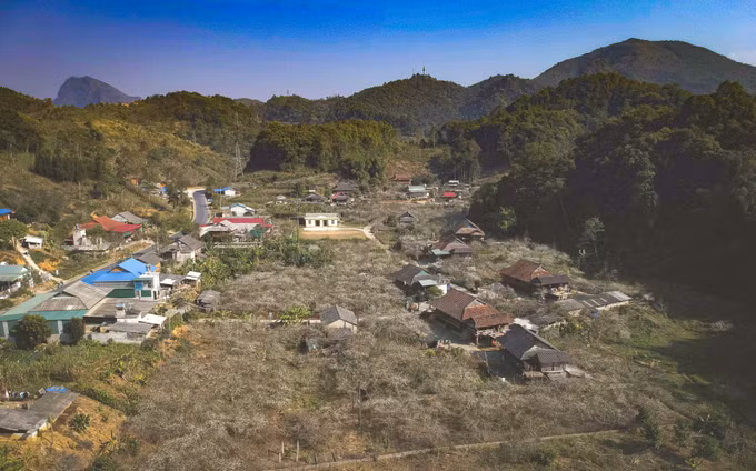 Màu mận trắng tinh khôi nơi thung lũng Phiêng Ban ảnh 10