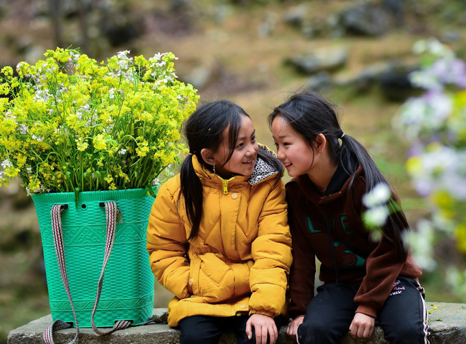 Những em bé với chiếc gùi đầy hoa cải vàng trên lưng chơi ở dốc Thẩm Mã. Ảnh: Nam Thái - TTXVN Mùa hoa cải vàng rực cao nguyên đá Hà Giang ảnh 7