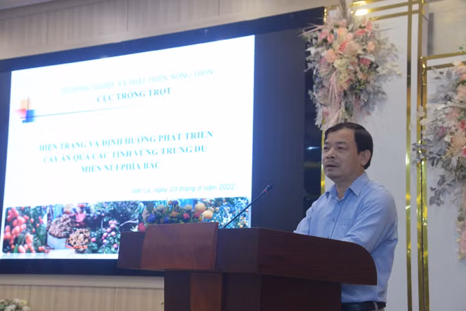 Phát triển bền vững vùng nguyên liệu cây ăn quả tại các tỉnh miền núi phía Bắc ảnh 7