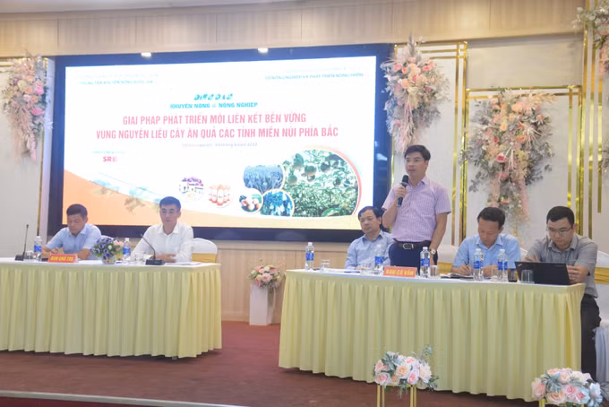 Phát triển bền vững vùng nguyên liệu cây ăn quả tại các tỉnh miền núi phía Bắc ảnh 4